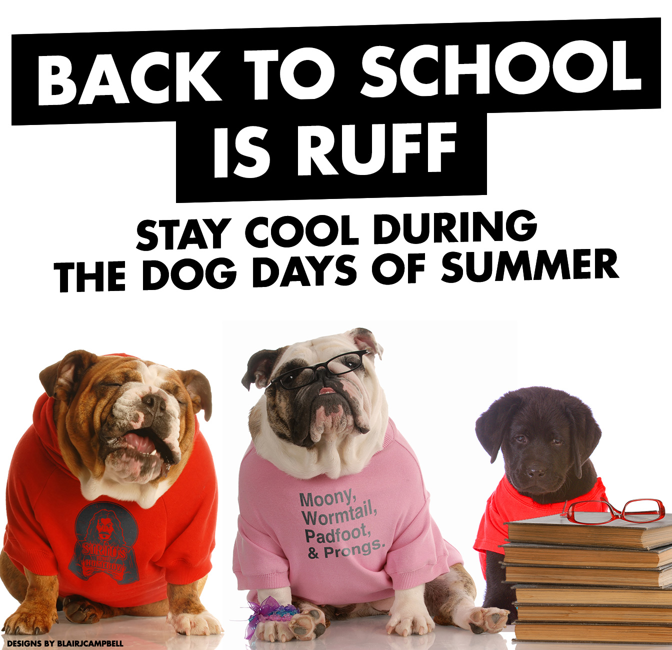 Click to Shop!