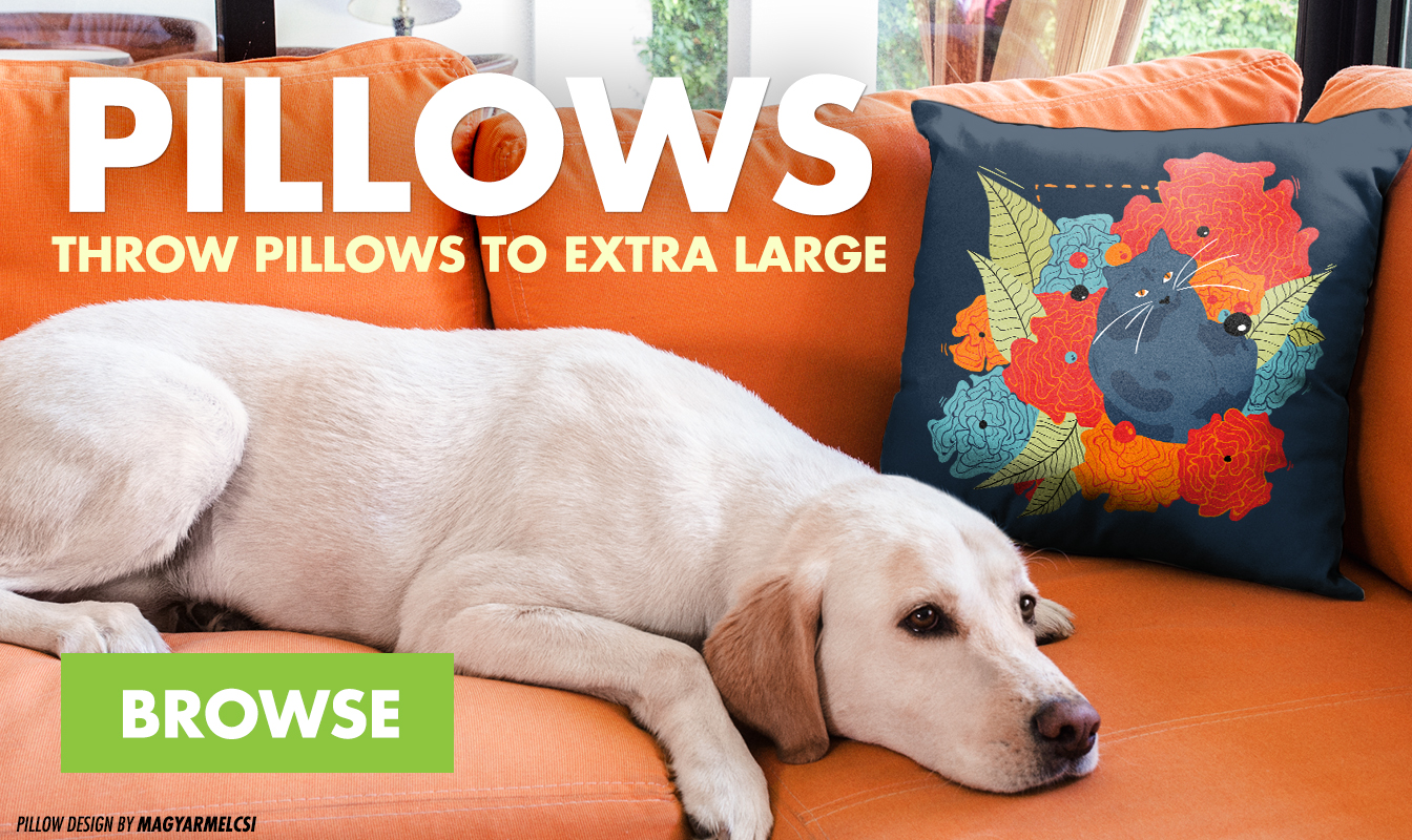 Shop Pillows