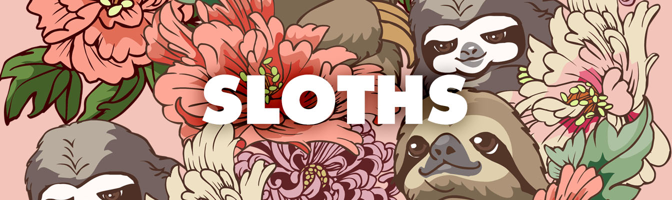 Shop Sloth Designs