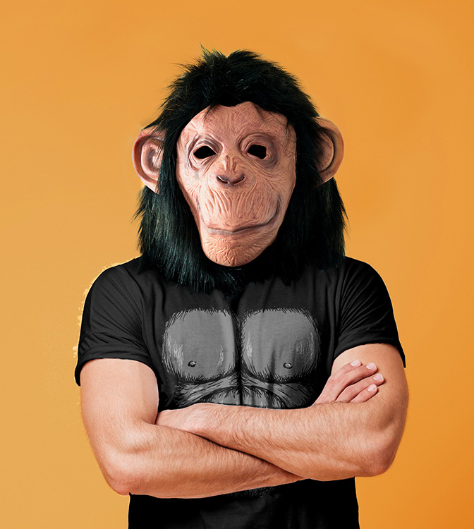 gorilla