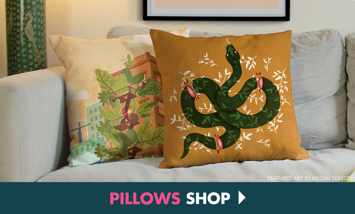 Shop Pillows